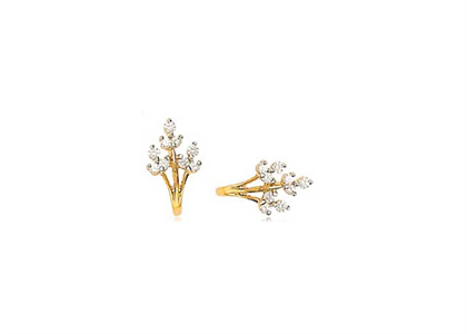 Gold Plated | Fashion Earrings